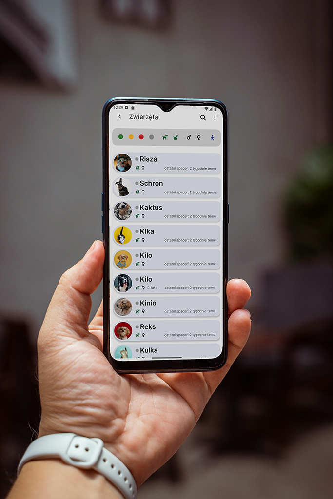 Lista zwierząt w schronisku